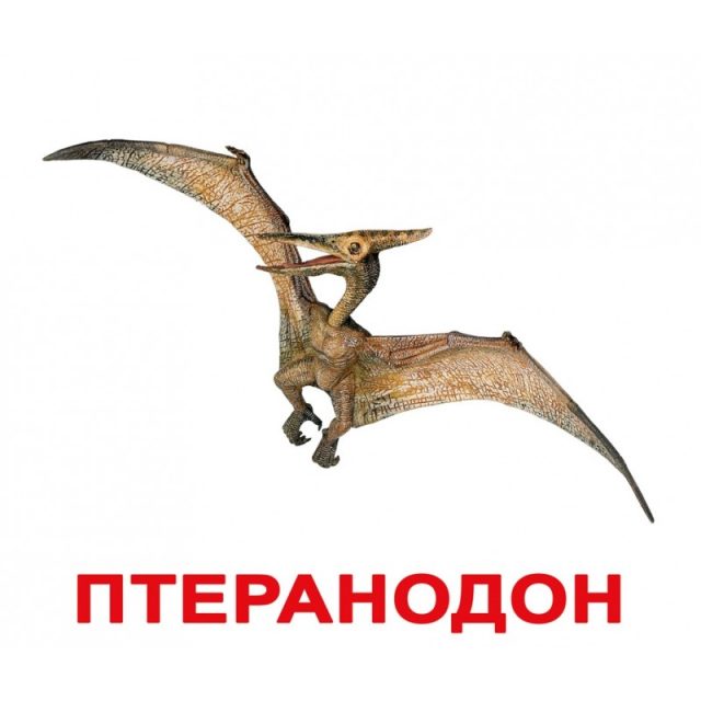 Открытки
